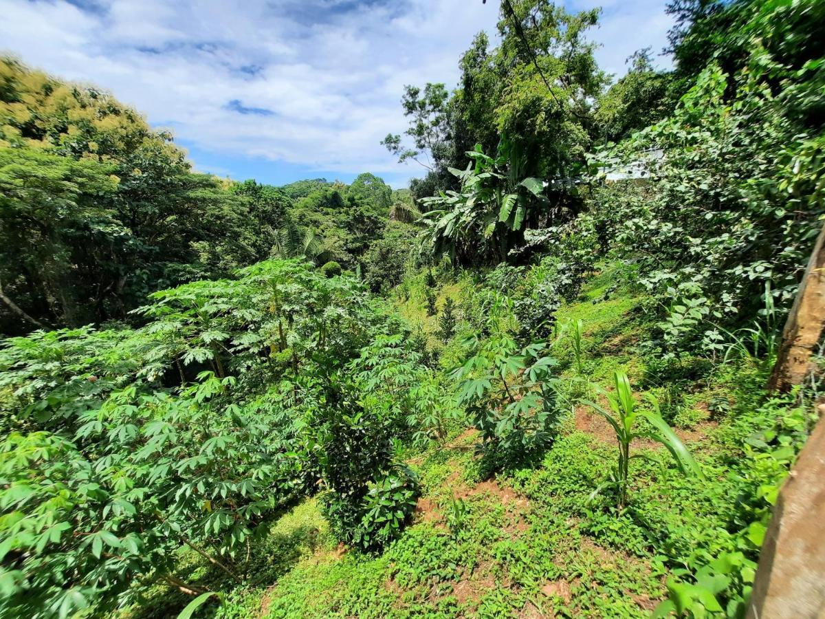 Eco-Turismo Guayacanes Samara Bagian luar foto