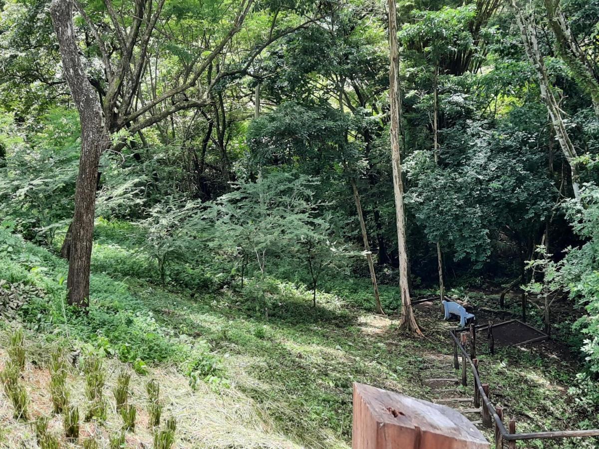 Eco-Turismo Guayacanes Samara Bagian luar foto
