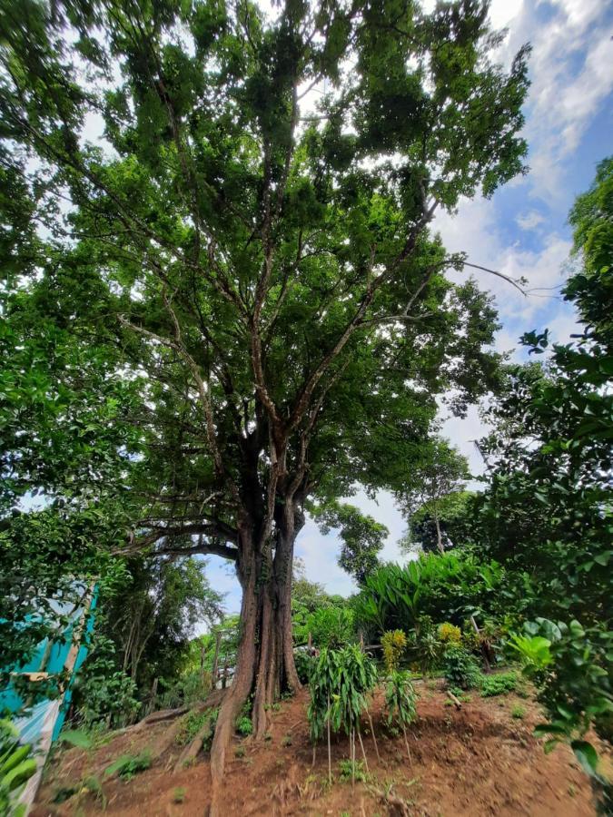 Eco-Turismo Guayacanes Samara Bagian luar foto